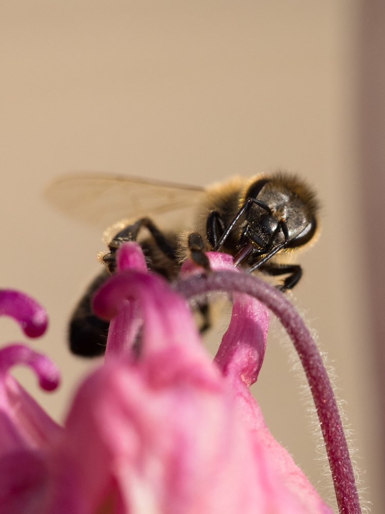 Photograph by Любовь Тернова