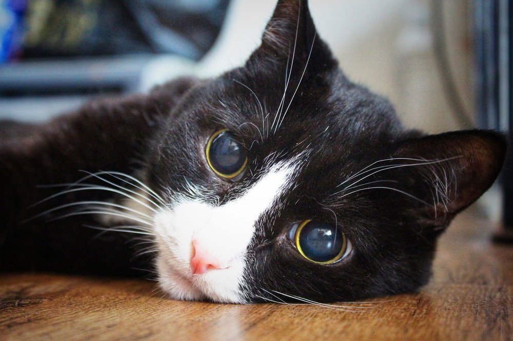 Photograph by Наталья Горбачева