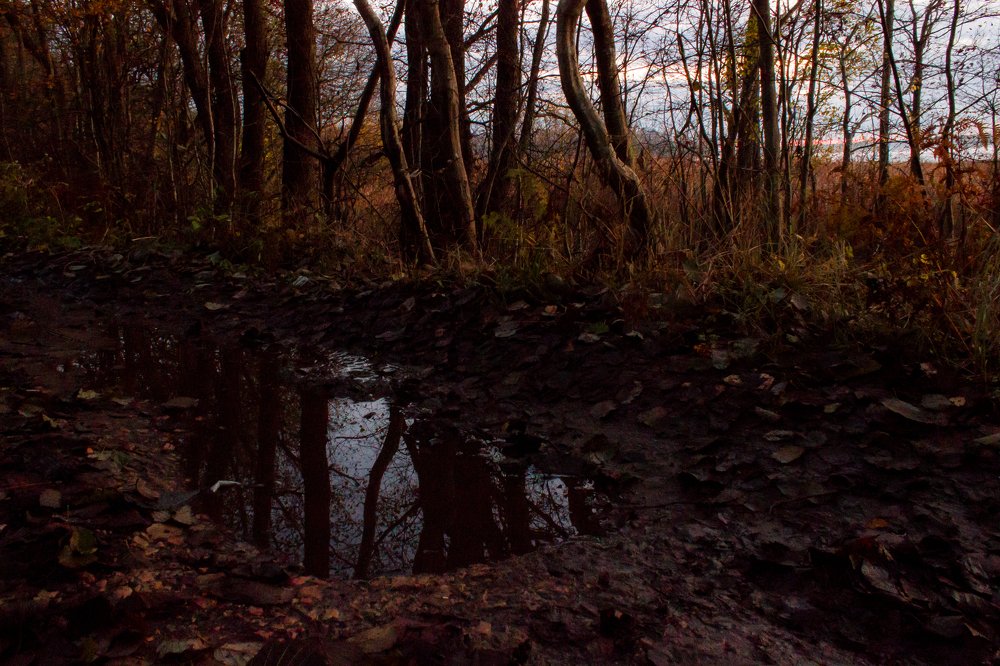 Фотография автора Элина Криворучко