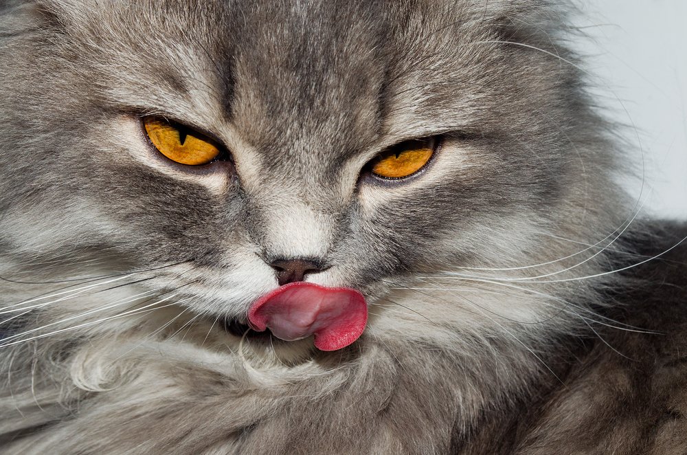 Photograph by Наталья Золотарева