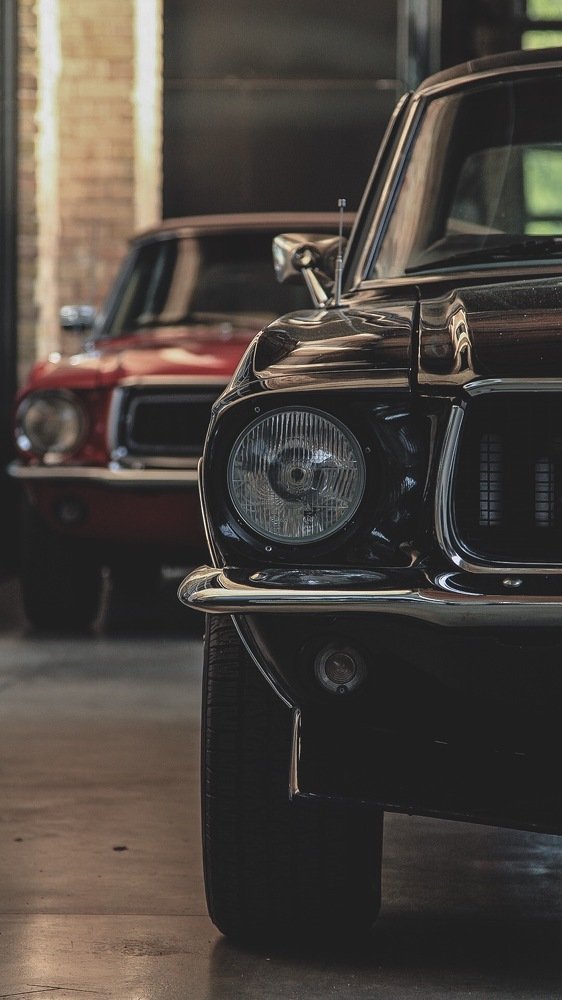 Photograph by Konstantin Morozov