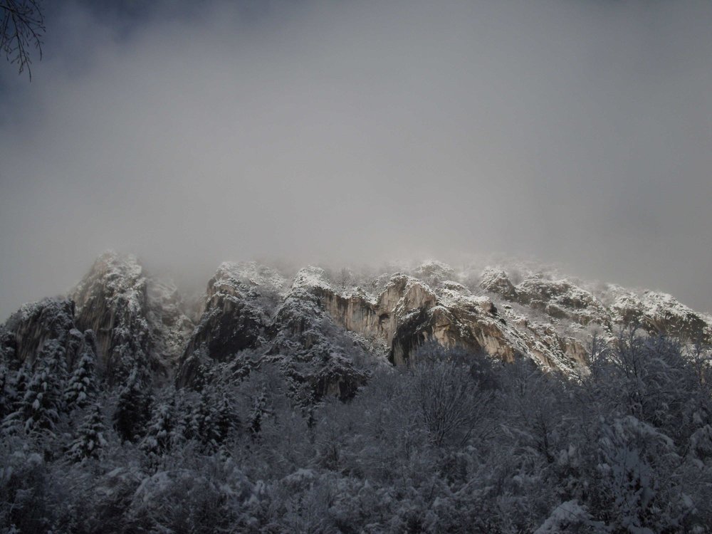 Photograph by rusenescu ramona