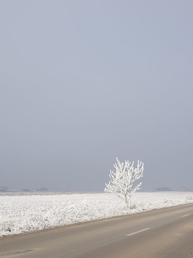 Photograph by rusenescu ramona