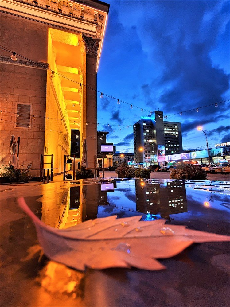 Photograph by 