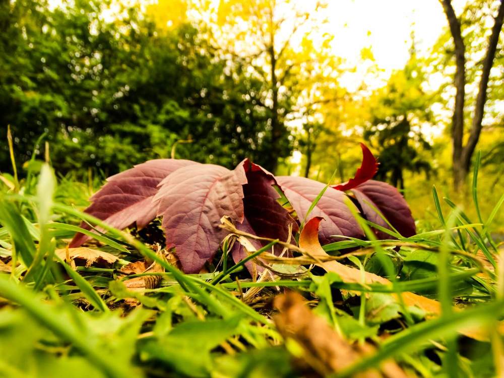 Photograph by Анжелика Трошина