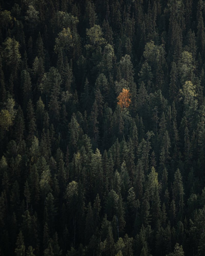 Photograph by Konstantin Morozov