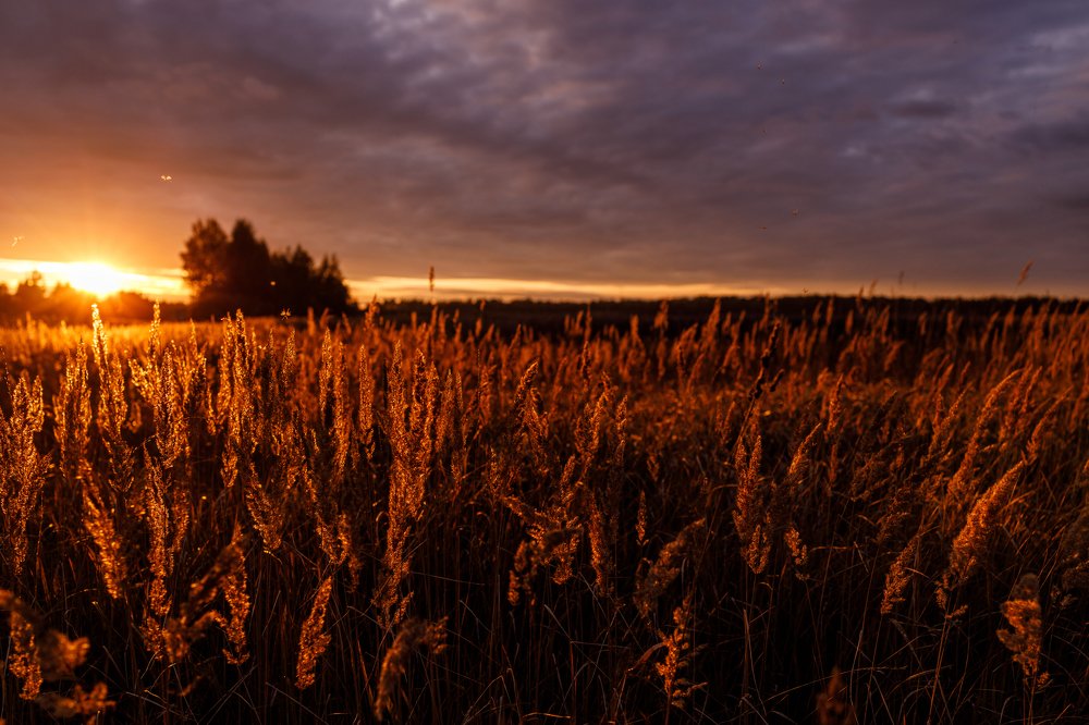 Photograph by Konstantin Morozov