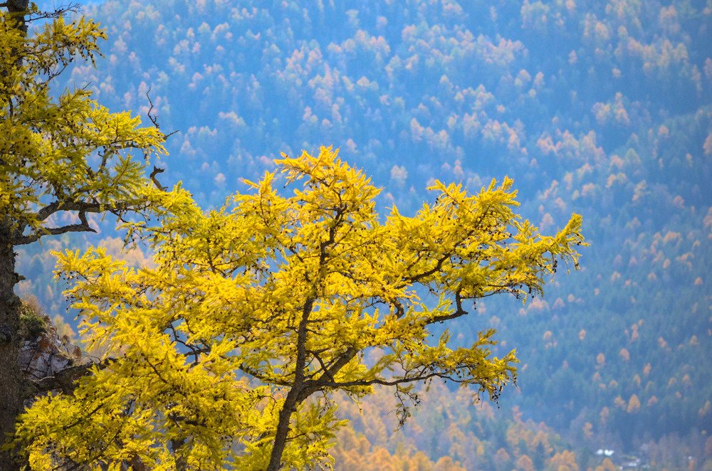 Photograph by Наталья Скиданова