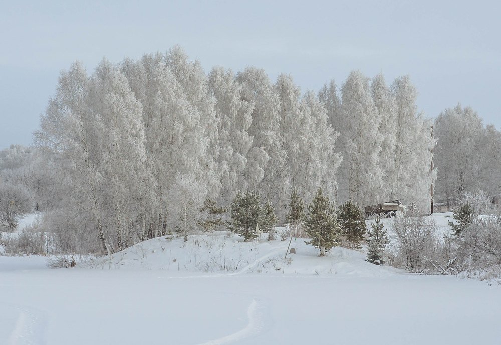 Зимнее село