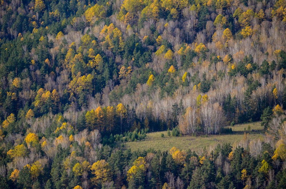 Photograph by Наталья Скиданова