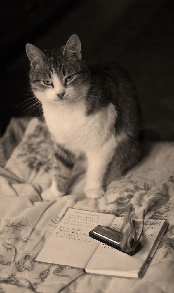 Photograph by Сергей Аракелов