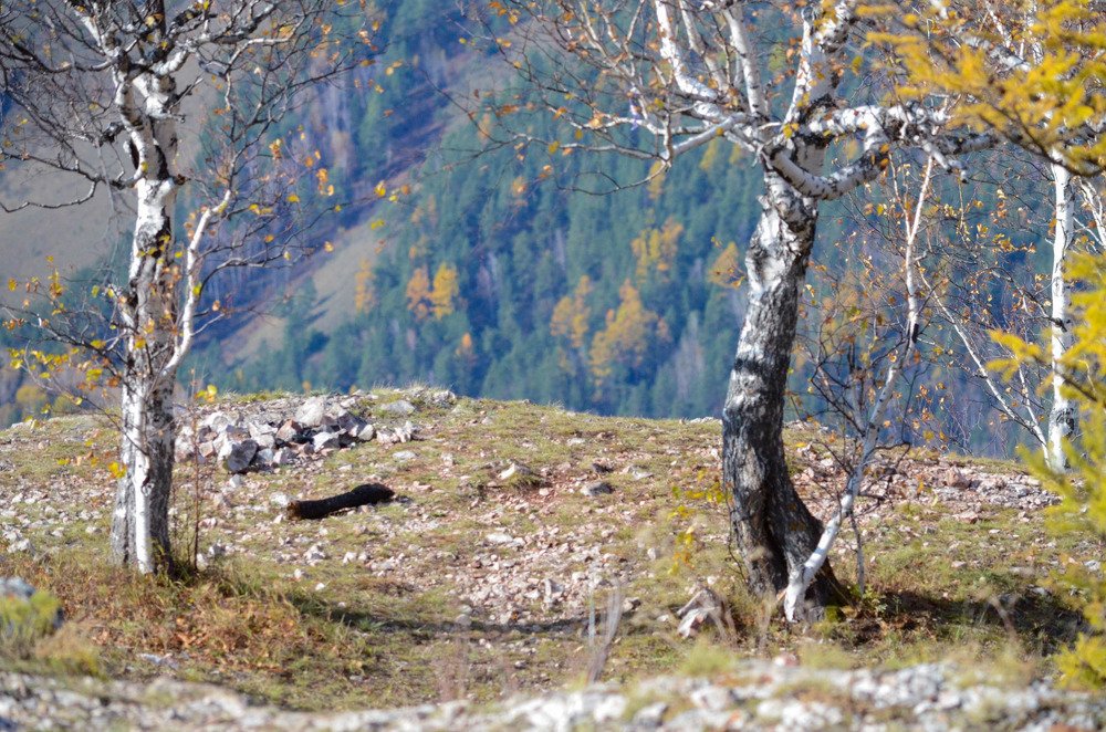 Photograph by Наталья Скиданова