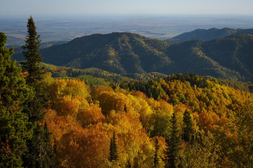 Краски осени....