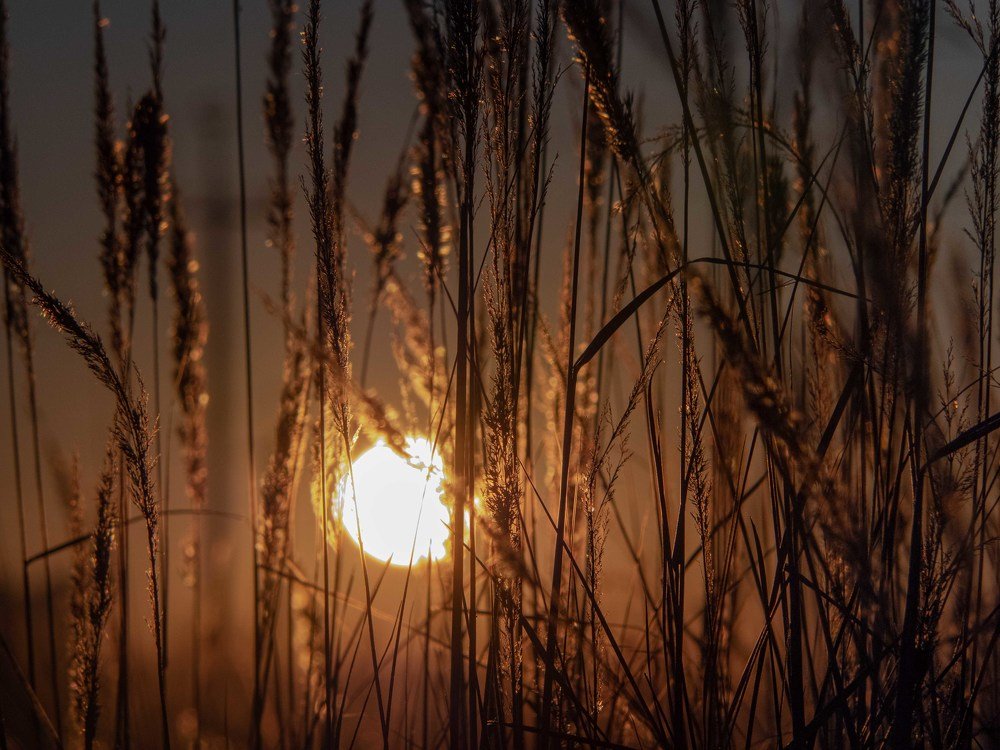 Photograph by mikhail goryachev