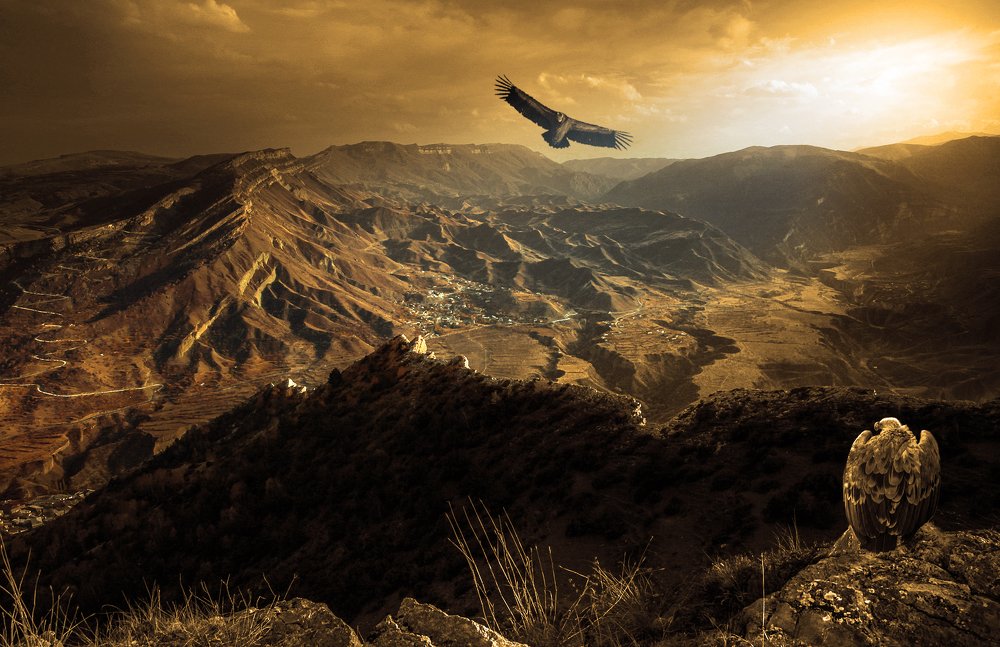 Photograph by Marat Magov