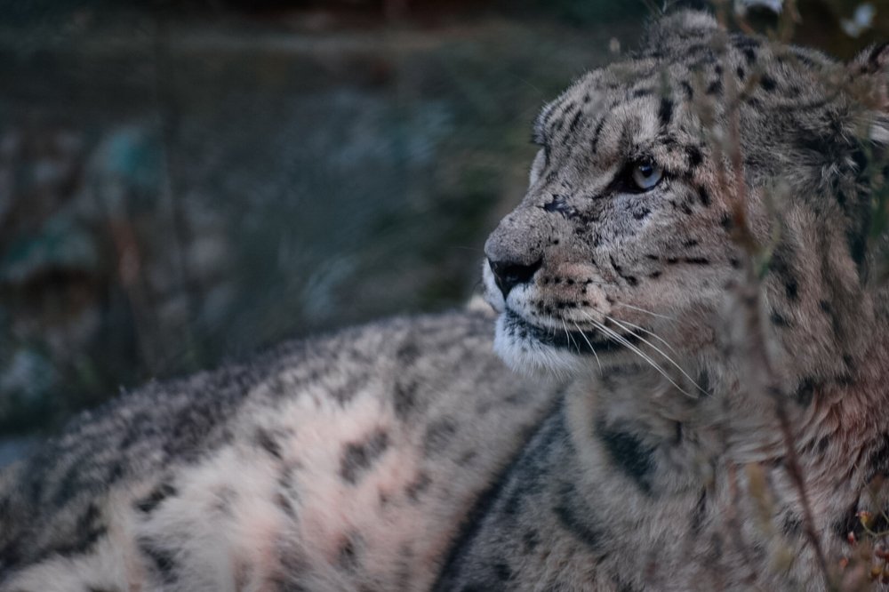 Photograph by Junaid Hakeem