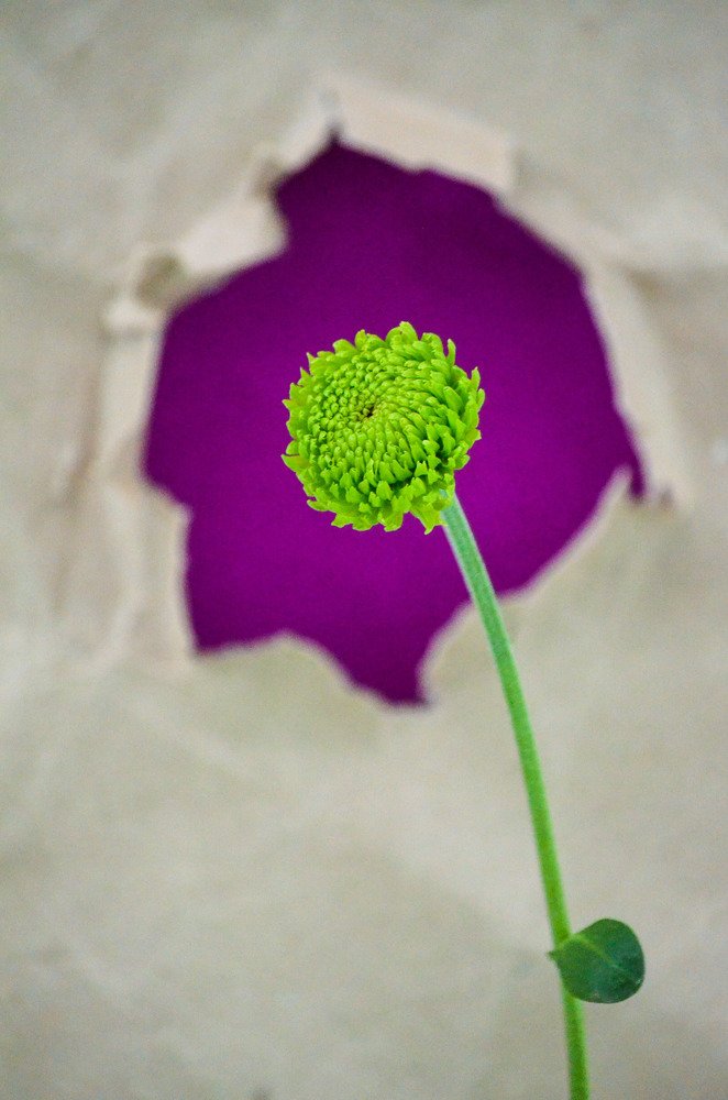 Photograph by Наталья Скиданова