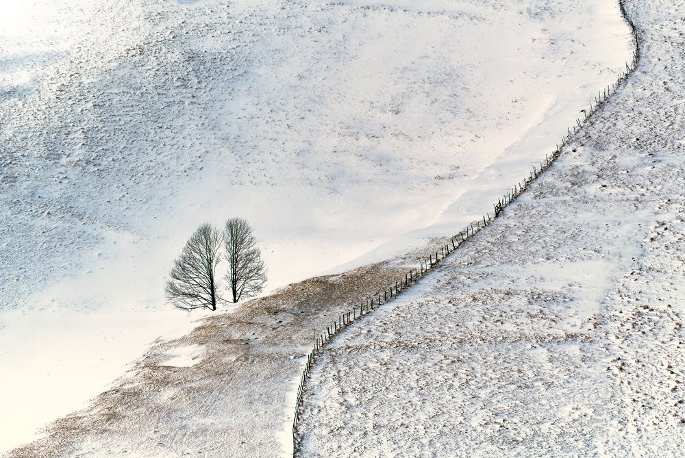 Photograph by Ceausescu Adriana