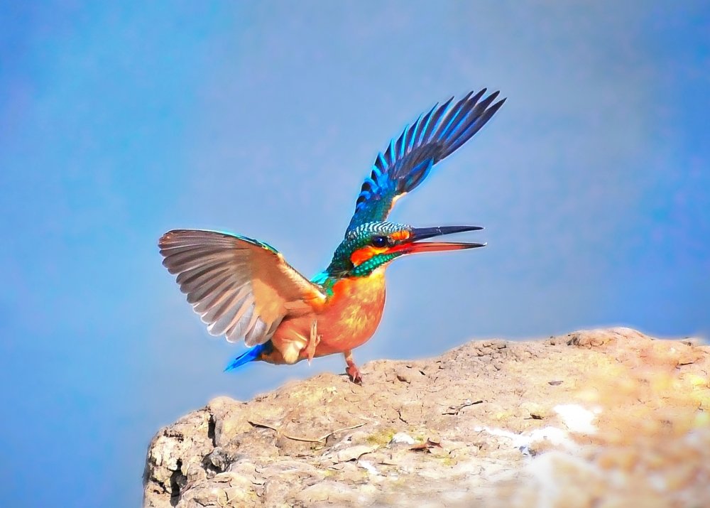 Photograph by Masum Mr