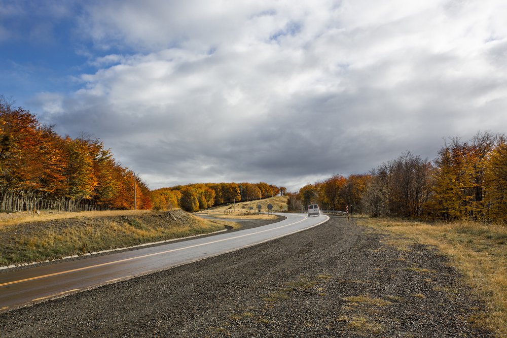 Photograph by Lili Rozet