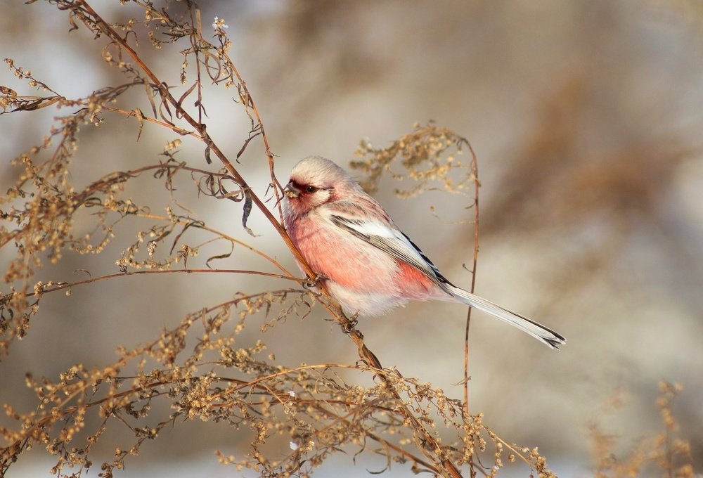 Photograph by Александр Канцур
