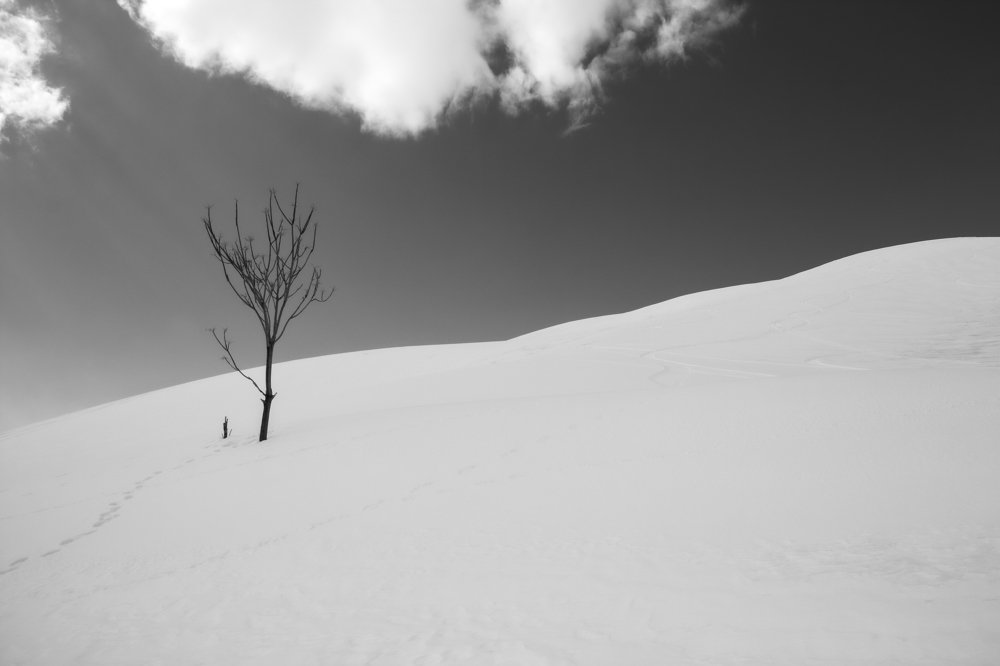 Photograph by Ali Masuomi