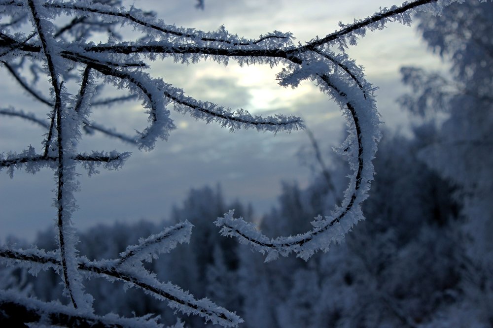 Photograph by Галина Мазур