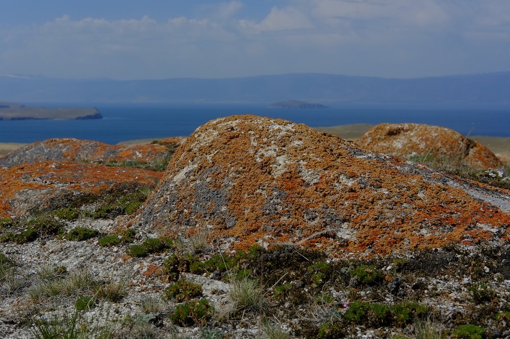 Photograph by Eugène Rabotnikov