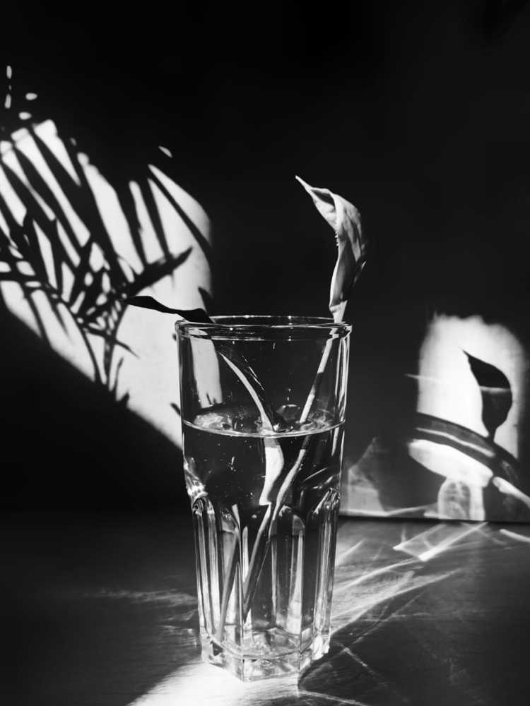 Photograph by Евгения Цой