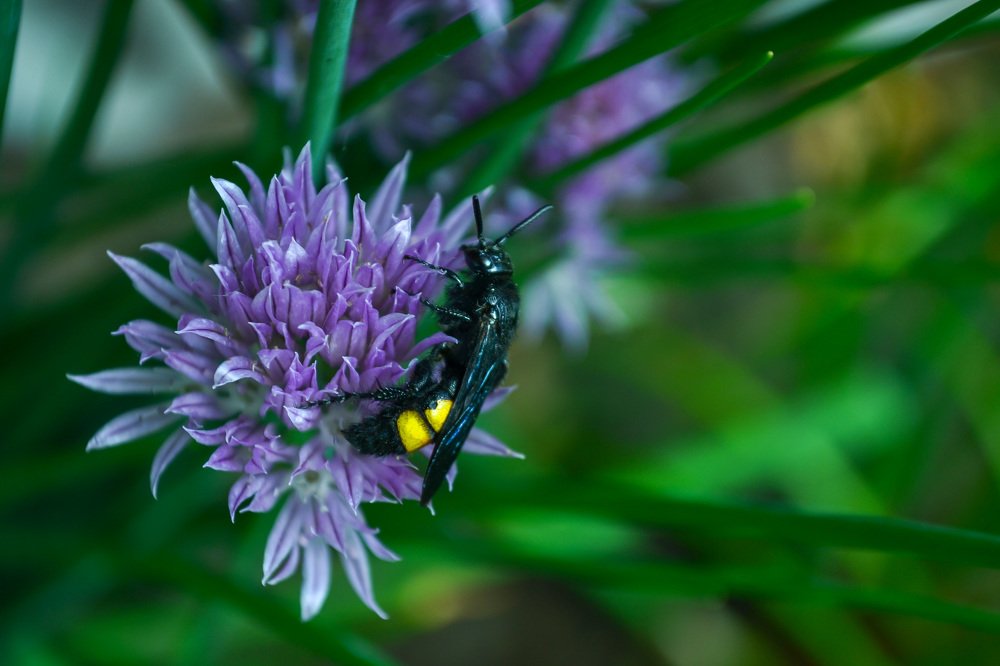 Photograph by Марина Магадиева