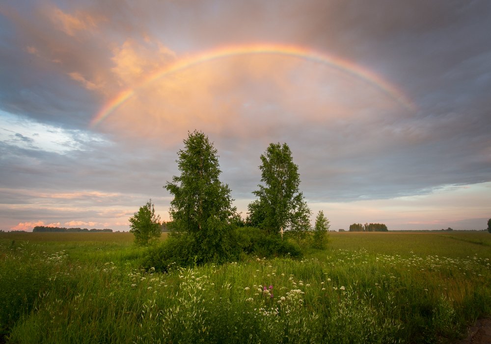 Photograph by Алекс Римский