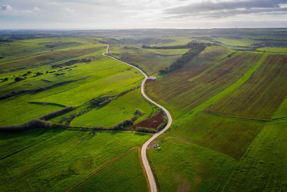 Photograph by Алекс Римский
