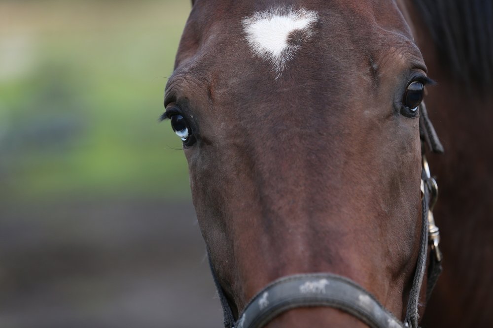 Photograph by Яна Орлова