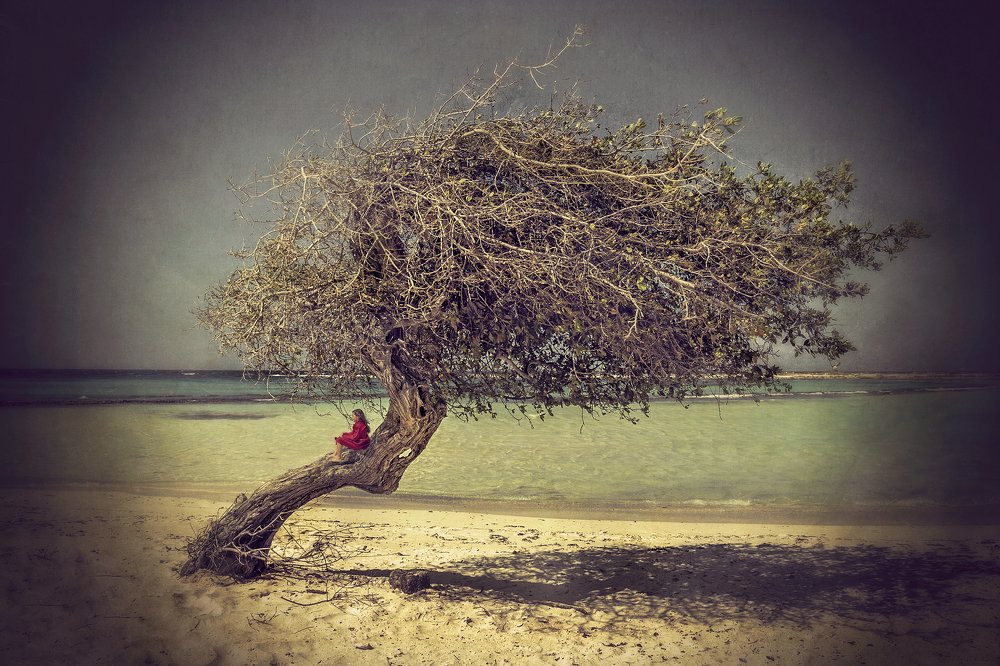 Photograph by talia duclos