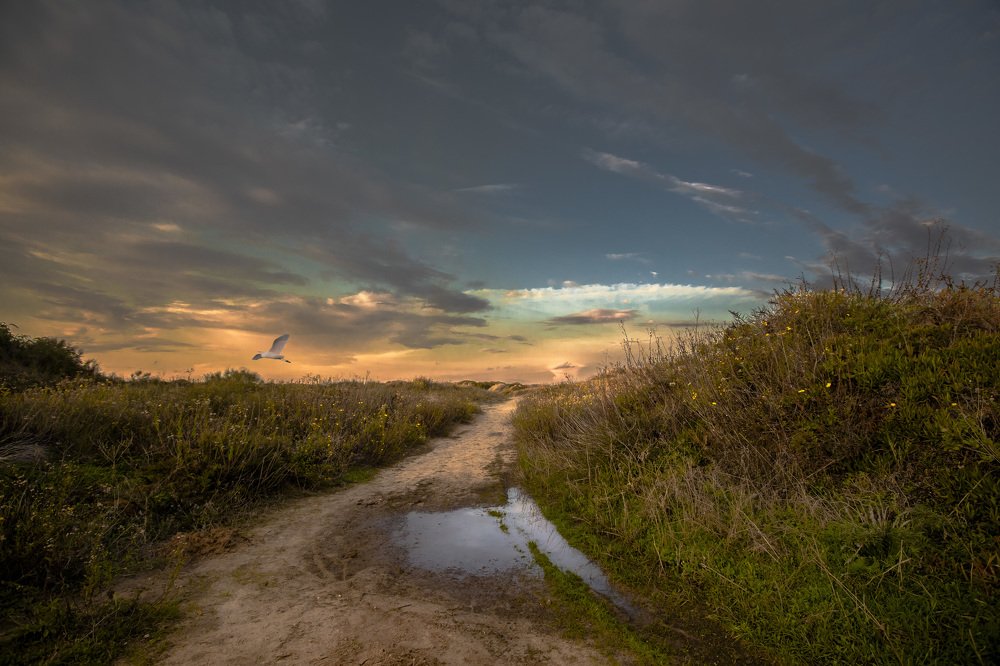 Photograph by Leonid Lan