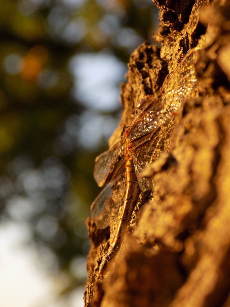 Photograph by Виктория Подрезова