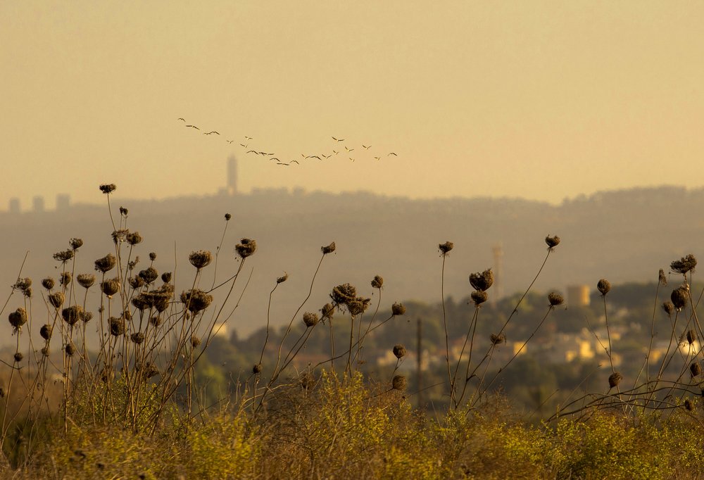 Photograph by Leonid Lan