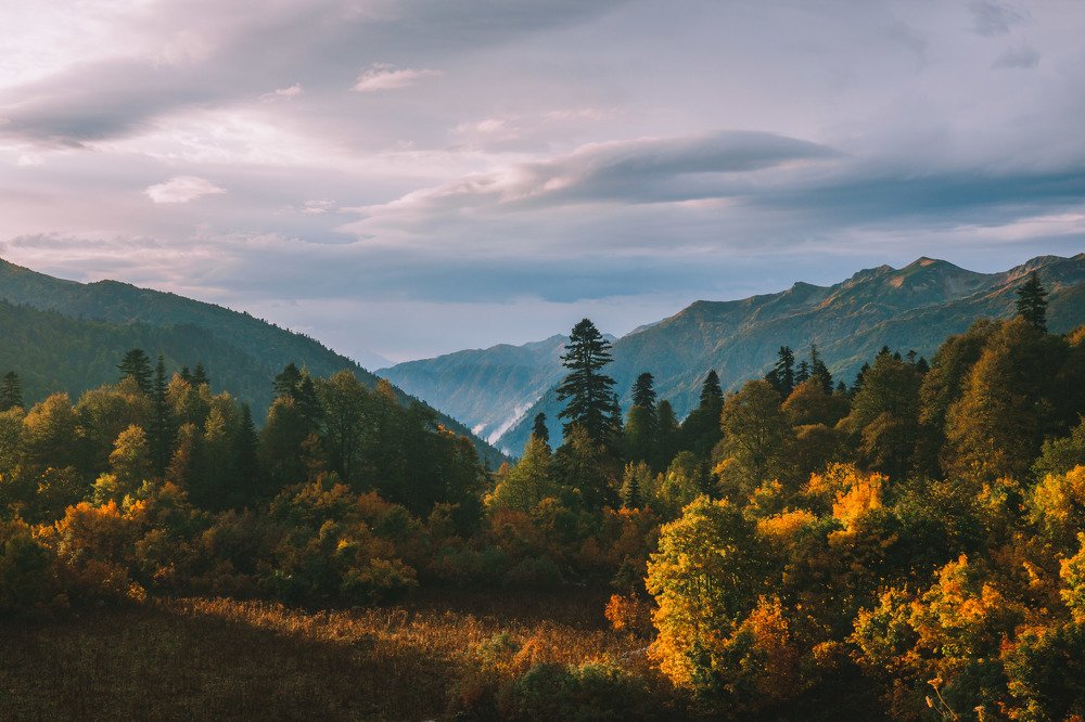 Осенние утро