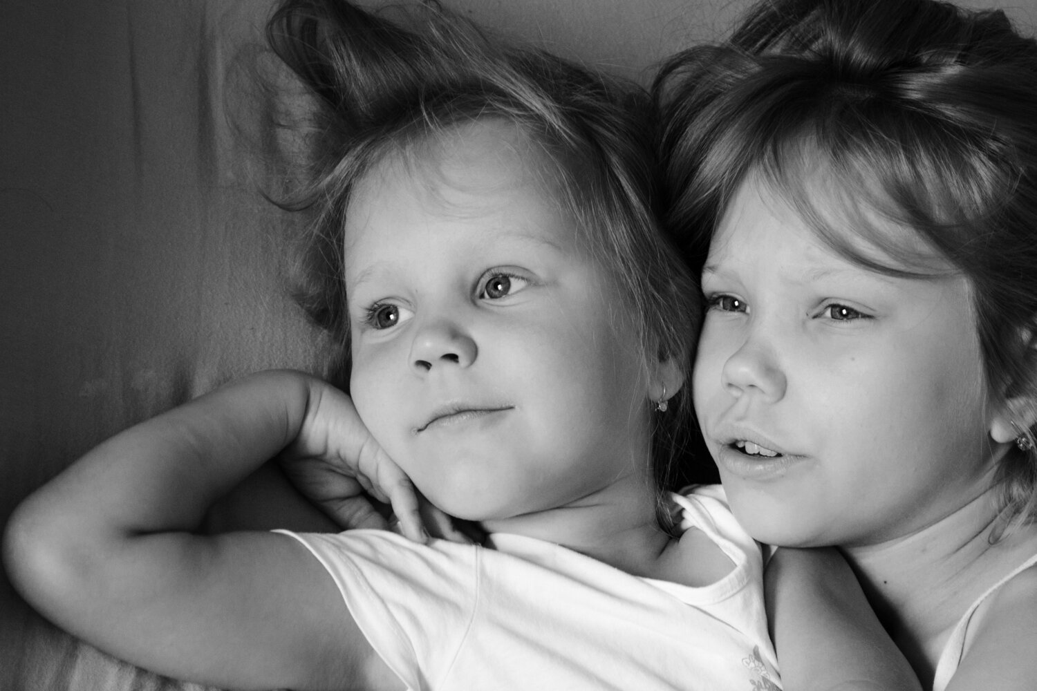 Photo #5355111