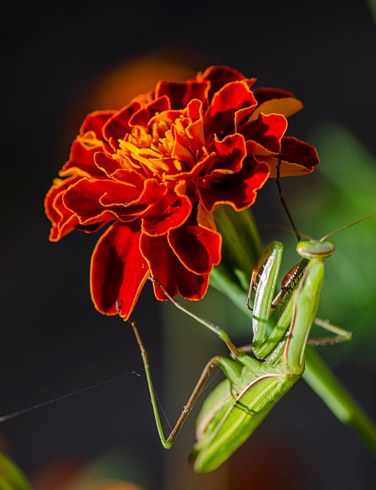 Photograph by Vasily Zhivitsa