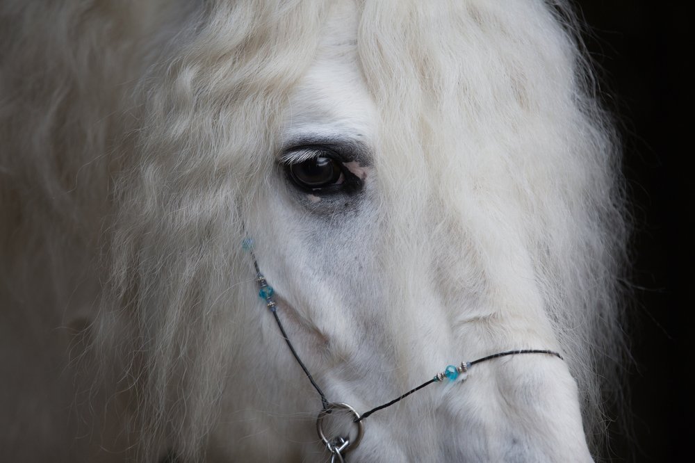 Photograph by Яна Орлова