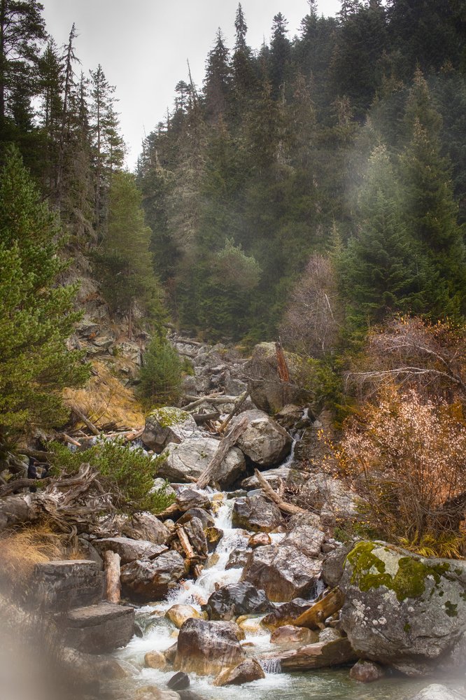 Photograph by Eлена Спивак