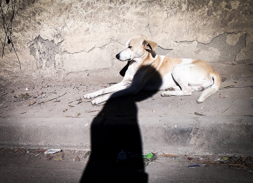 Photograph by Rachid Ayadi