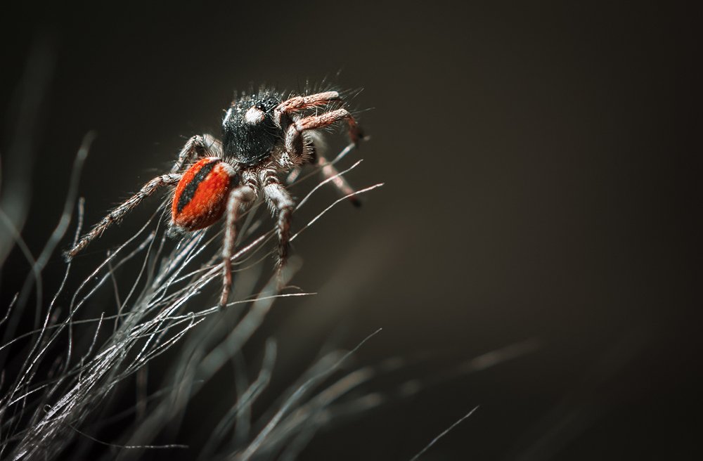 Славный парень