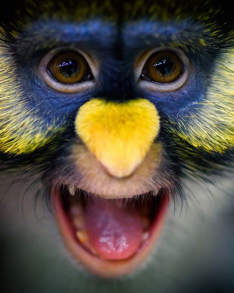 Photograph by Сергей Скоробогатов