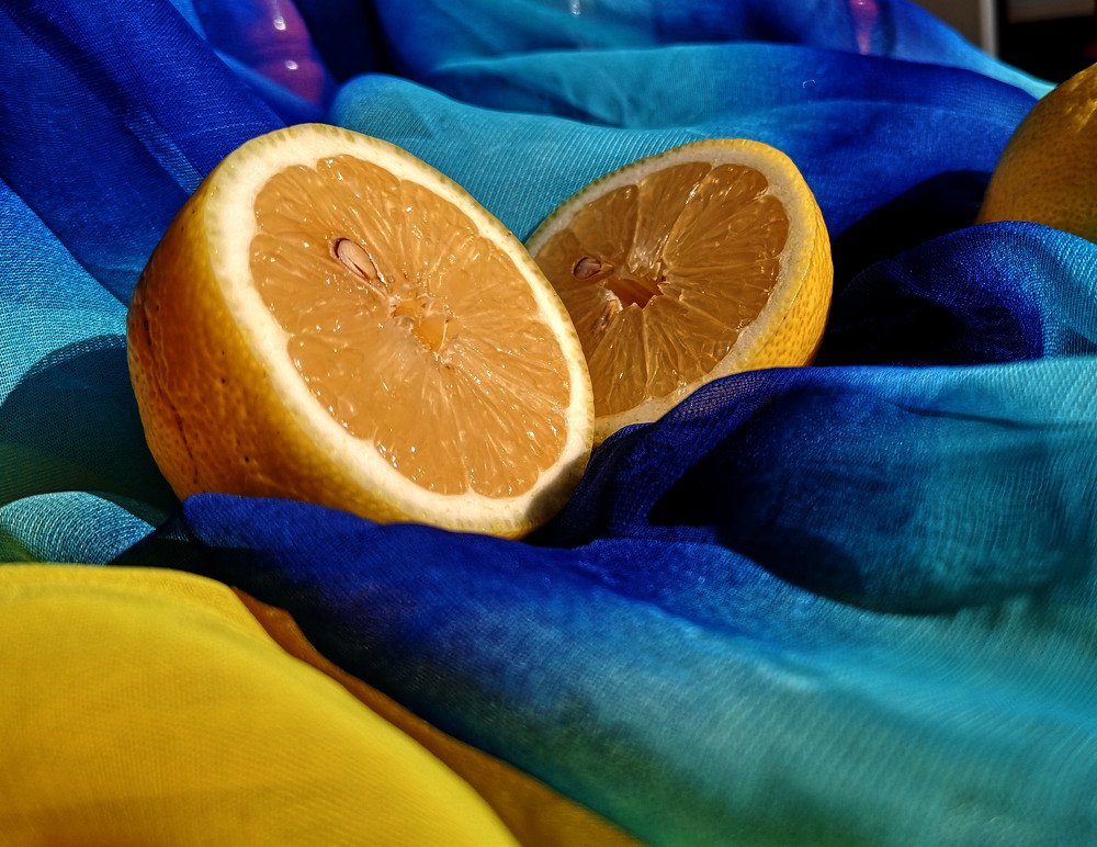 Photograph by Marina Razheva