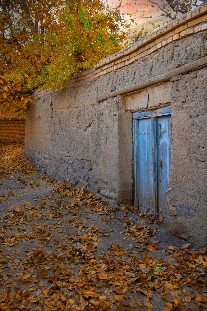 Photograph by Ali Masuomi