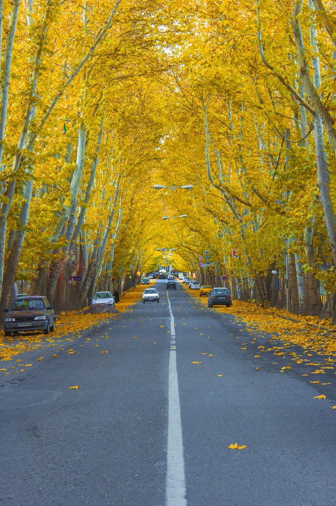 Photograph by Ali Masuomi