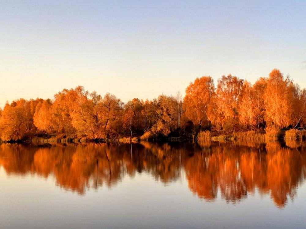 Золото осени