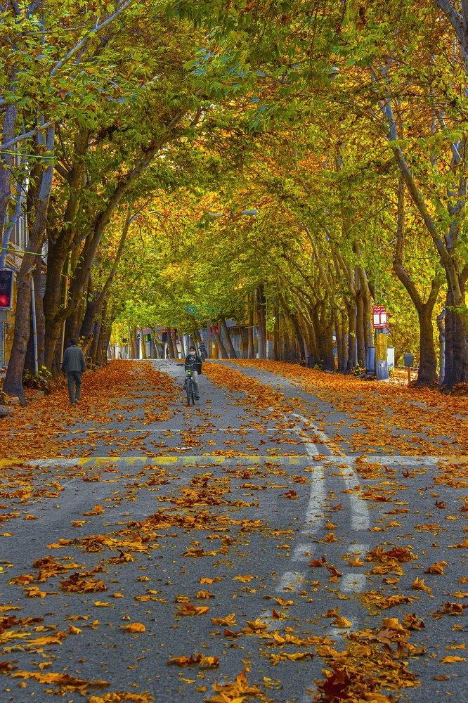 Photograph by Ali Masuomi